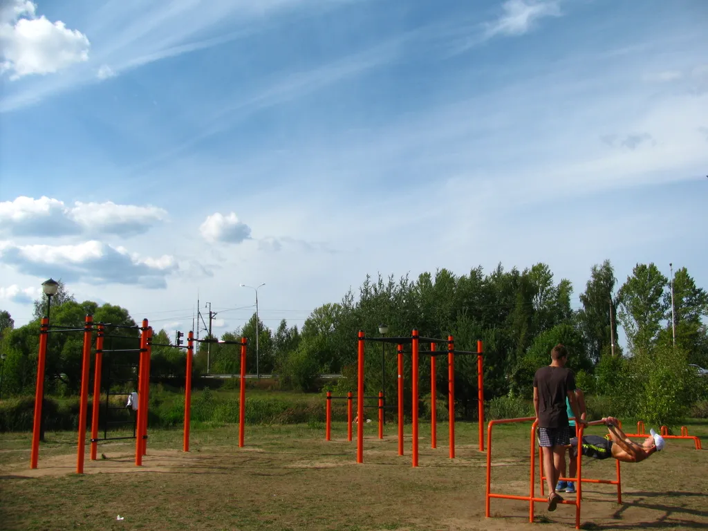 Monkey bar presso Calisthenics Park at Станционная улица, Дубна – foto 3 di 6