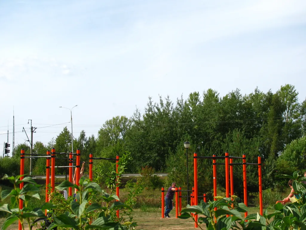 Spalliera presso Calisthenics Park at Станционная улица, Дубна – foto 2 di 6