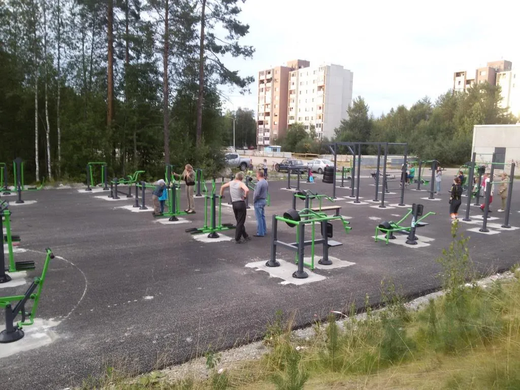 Monkey Bars at Calisthenics Park at Октябрьская улица, Костомукша – photo 3 of 3