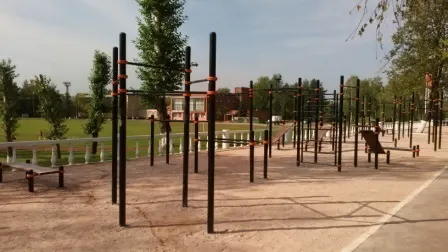 Calisthenics Park at Орбита, Дзержинский