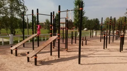 Шведська стінка на майданчику Calisthenics Park at Орбита, Дзержинский – фото 2 з 3