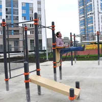 Calisthenics Park at улица Павла Шаманова, Екатеринбург - thumbnail 3