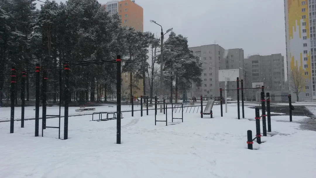 Wall Bars at Calisthenics Park at улица Склизкова, городской округ Тверь – photo 2 of 3