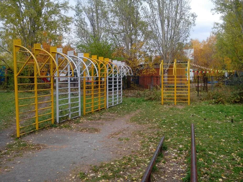 Wall Bars at Calisthenics Park at Вяземская улица, городской округ Новосибирск – photo 4 of 4