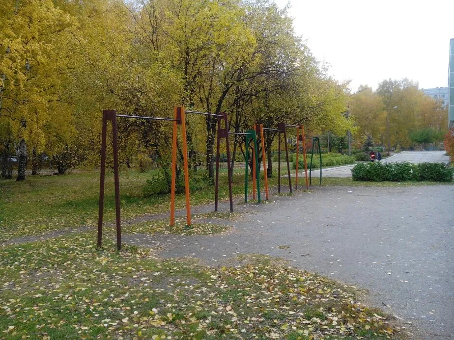 Pull Up Bar at Calisthenics Park at Вяземская улица, городской округ Новосибирск – photo 3 of 4