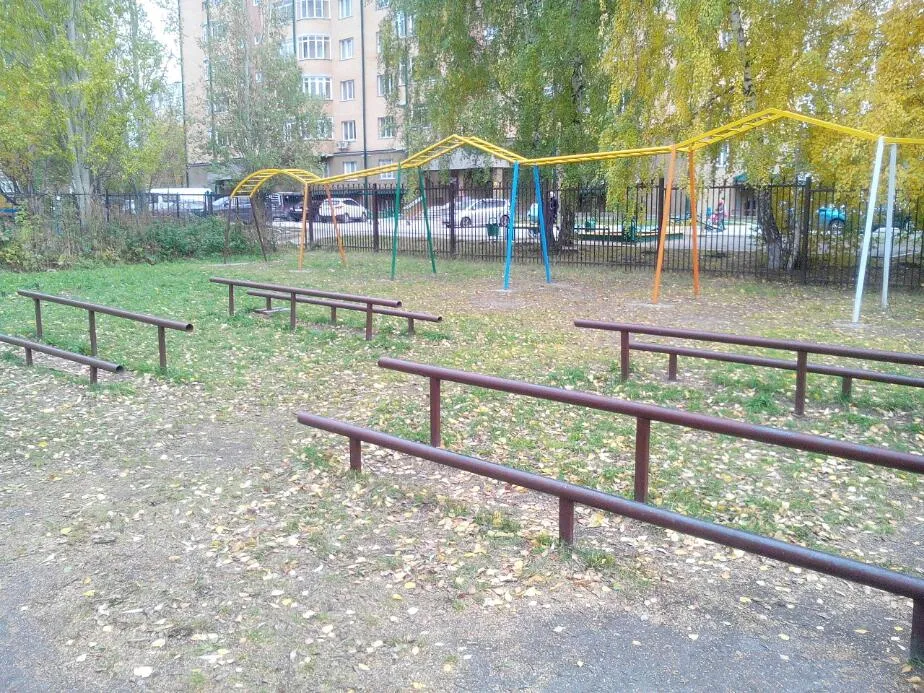 Parallel Gym Bars at Calisthenics Park at Вяземская улица, городской округ Новосибирск – photo 1 of 4