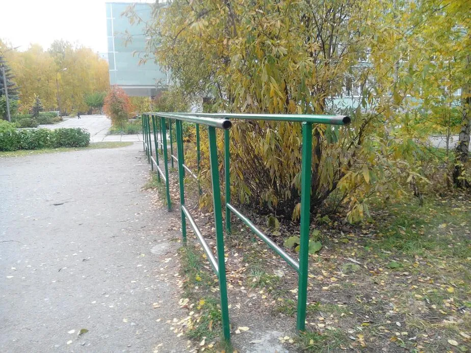 Monkey Bars at Calisthenics Park at Вяземская улица, городской округ Новосибирск – photo 2 of 4