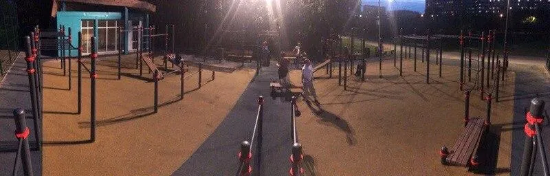 Spalier la Calisthenics Park at Батайский проезд, Москва – fotografia 2 din 10