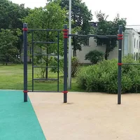 Calisthenics Park at Олимпийский комплекс «Лужники», Москва - thumbnail 9