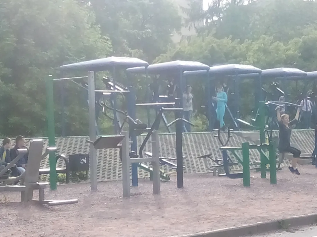 Monkey bar presso Calisthenics Park at Онежская набережная, Петрозаводск – foto 2 di 3