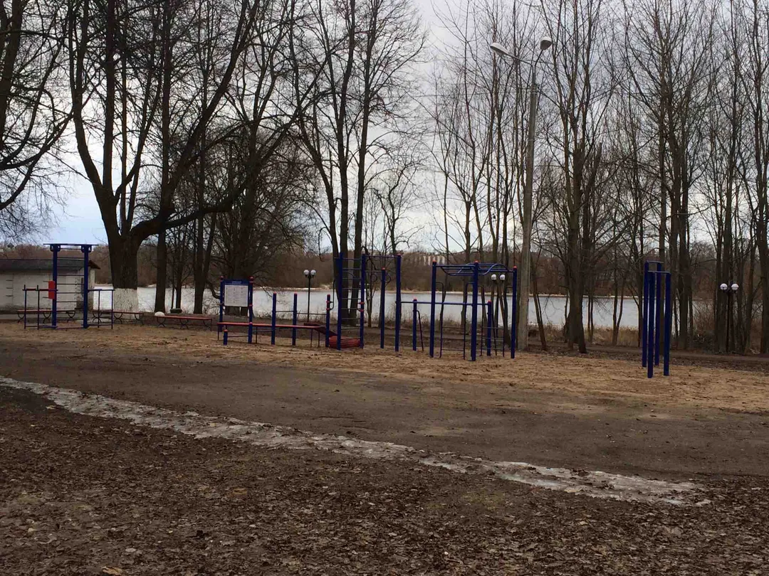 Упори для віджимань на майданчику Calisthenics Park at Парковая улица, городской округ Великий Новгород – фото 2 з 2