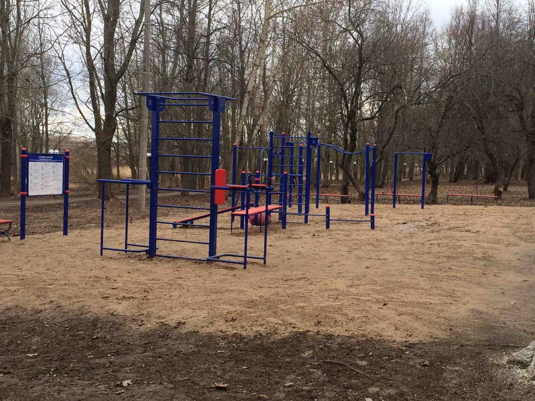 Турнік на майданчику Calisthenics Park at Парковая улица, городской округ Великий Новгород – фото 1 з 2