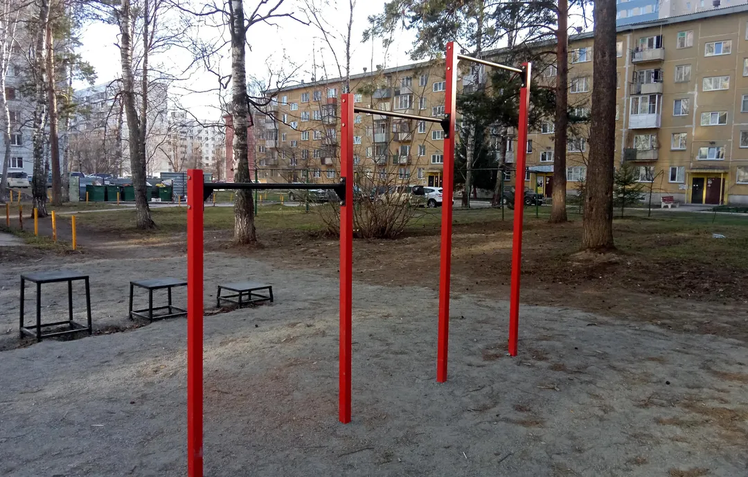 Monkey Bars at Calisthenics Park at Шатурская улица, городской округ Новосибирск – photo 3 of 7