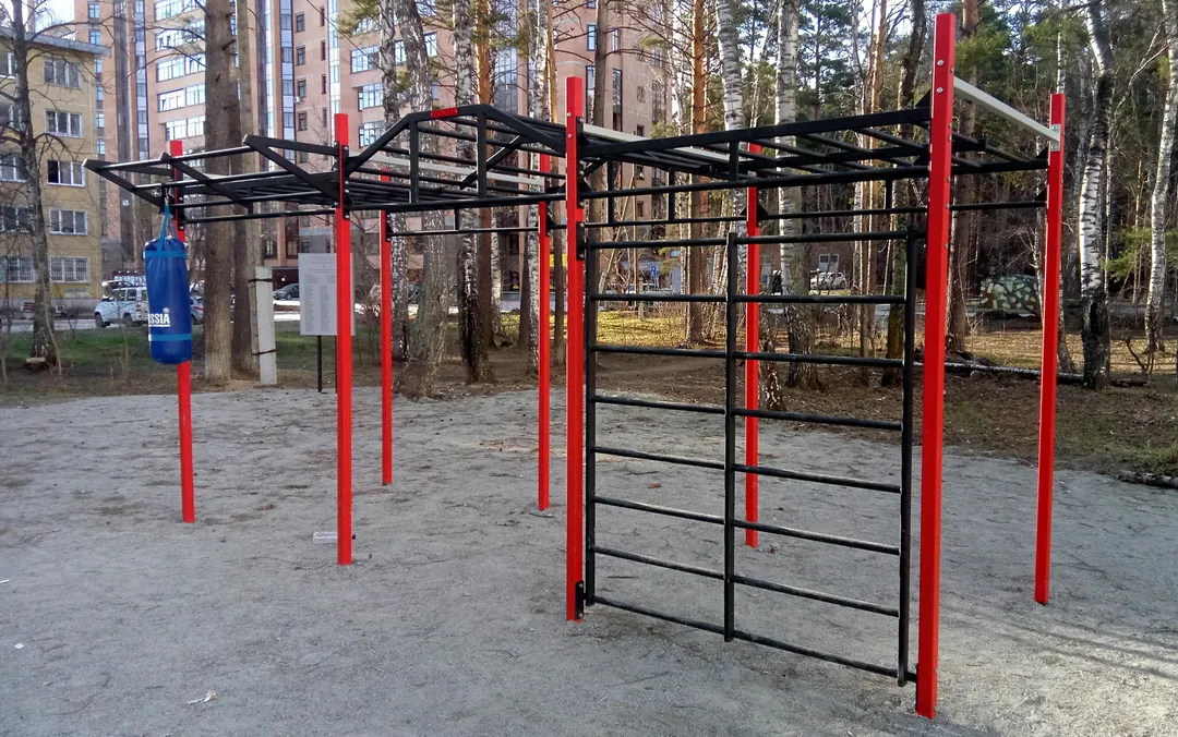 Wall Bars at Calisthenics Park at Шатурская улица, городской округ Новосибирск – photo 2 of 7