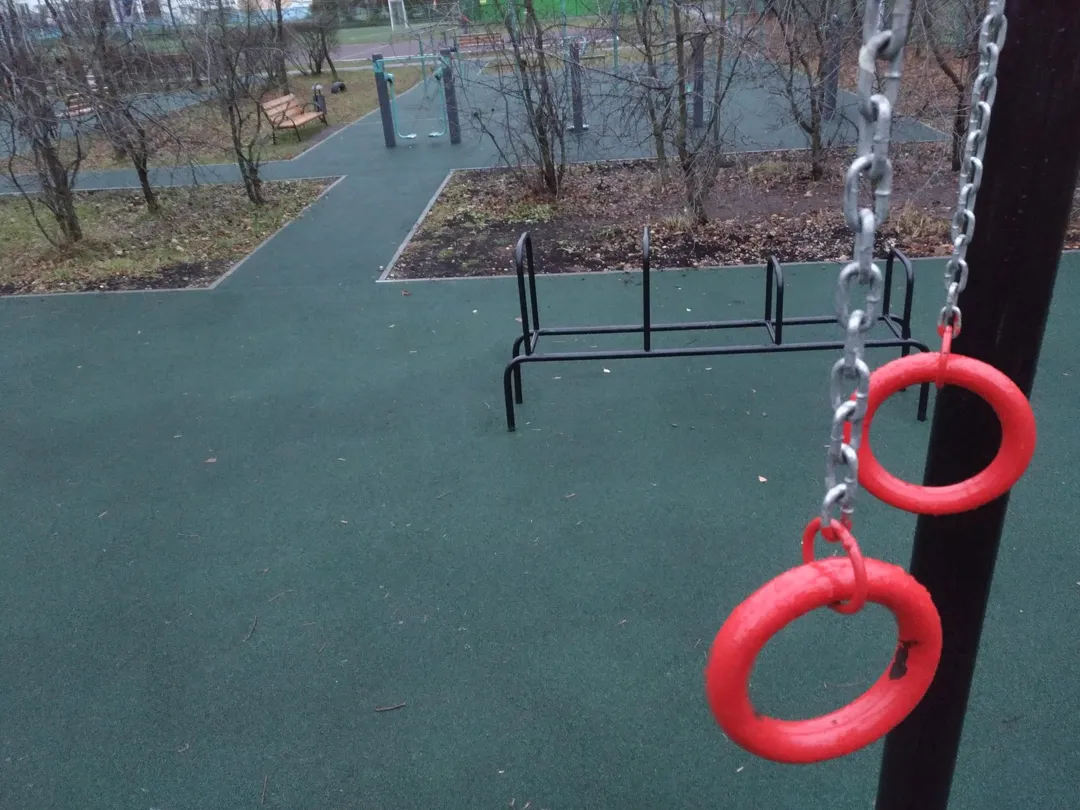 Sprossenwand bei Calisthenics Park at улица Адмирала Лазарева, Москва – Foto 5 von 9