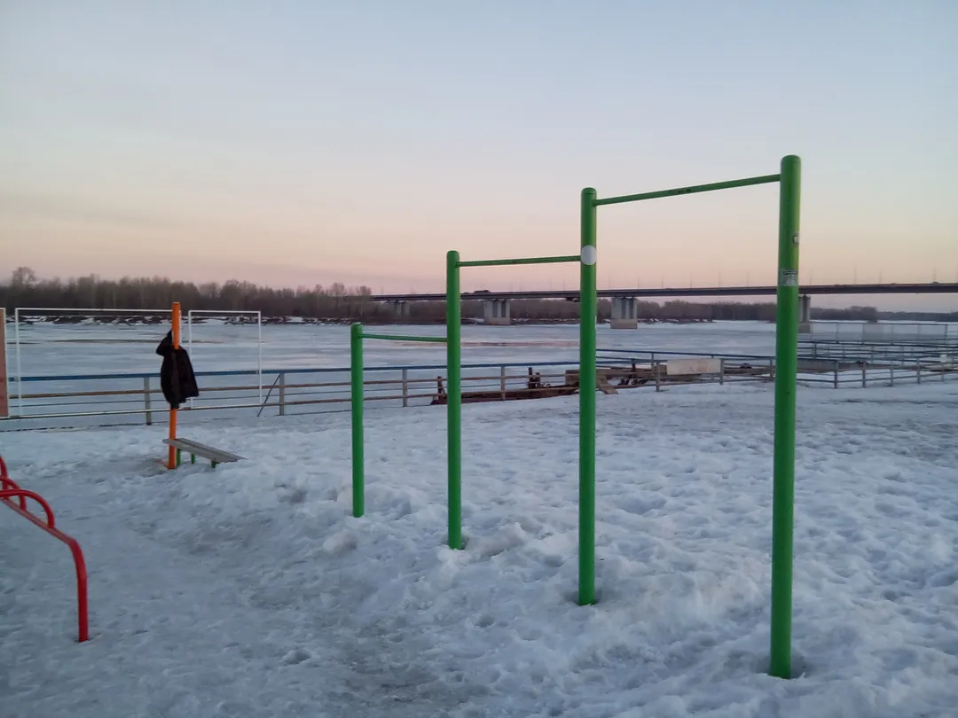 Брусья на площадке Calisthenics Park at Приречная улица, Барнаул – фото 1 из 4