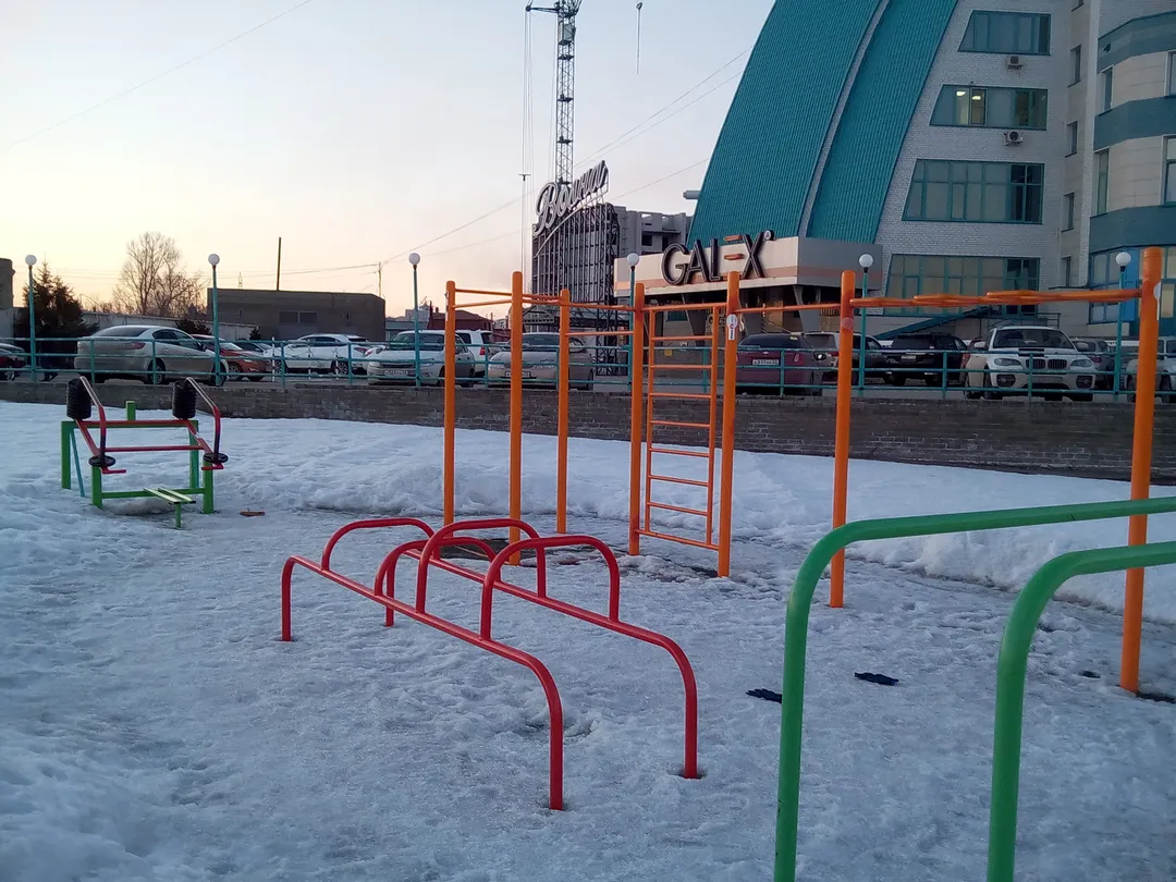 Рукоход на площадке Calisthenics Park at Приречная улица, Барнаул – фото 2 из 4