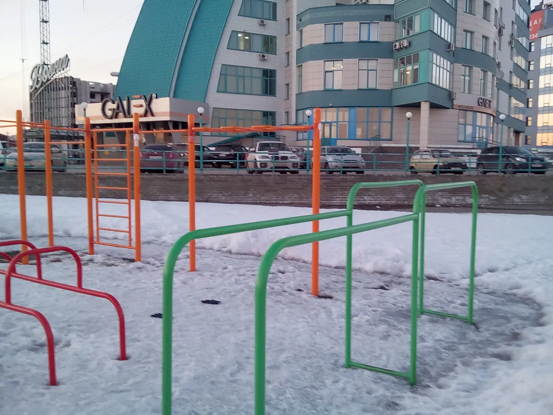 Турник на площадке Calisthenics Park at Приречная улица, Барнаул – фото 3 из 4