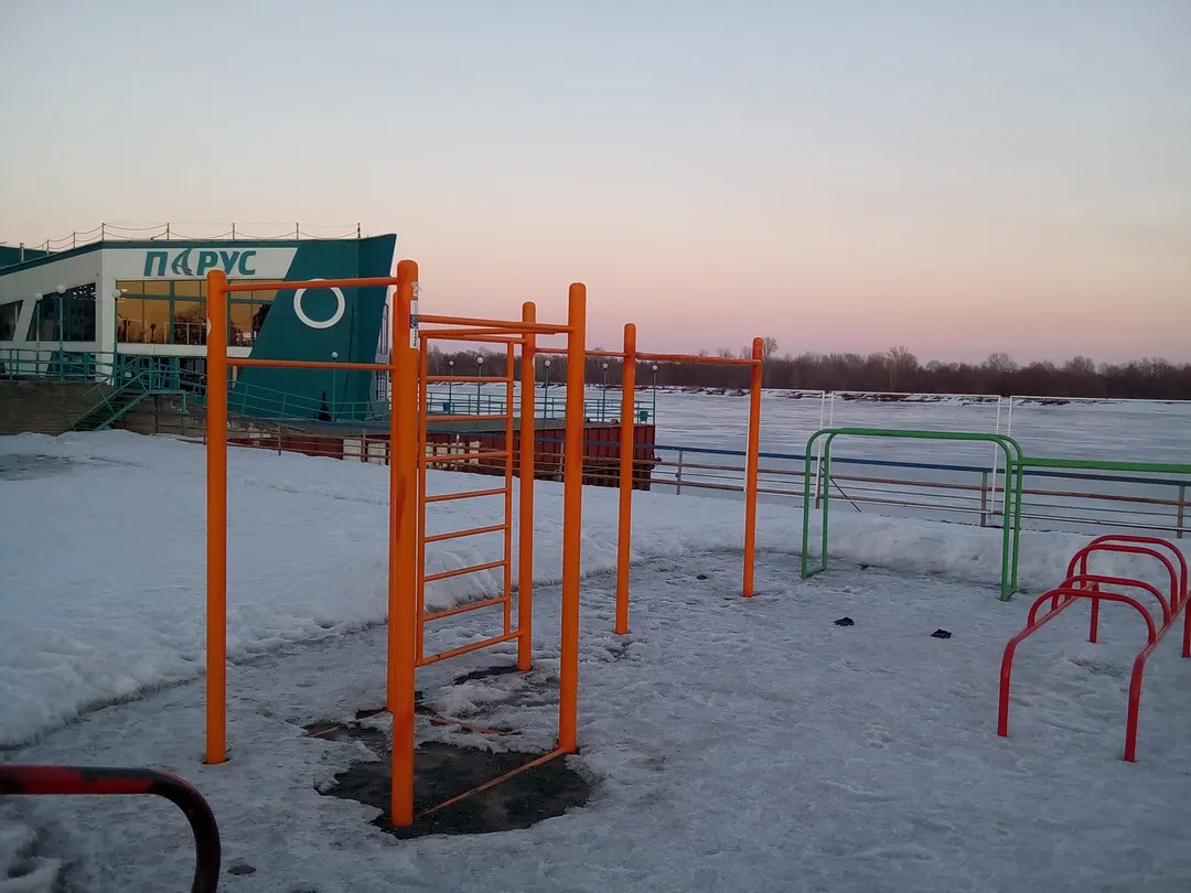 Шведская стенка на площадке Calisthenics Park at Приречная улица, Барнаул – фото 4 из 4