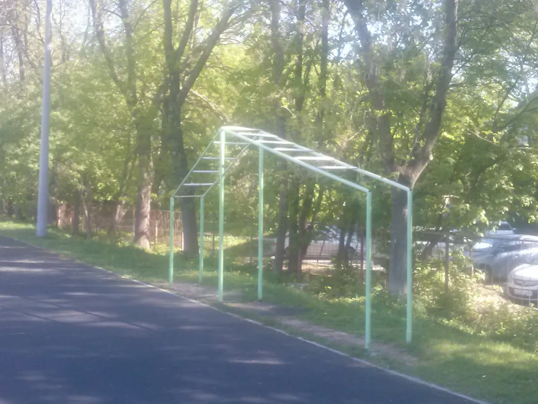 Wall Bars at Calisthenics Park at улица Бориса Корнилова, Нижний Новгород – photo 4 of 6