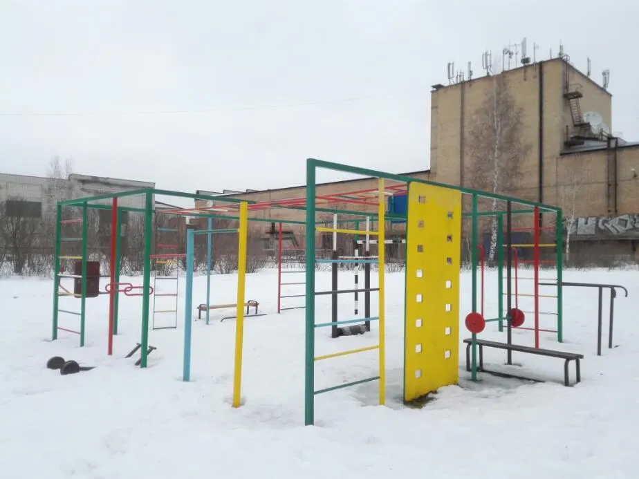 Шведская стенка на площадке Calisthenics Park at Старовская улица, городское поселение Вольгинский – фото 2 из 2