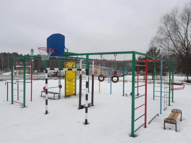 Calisthenics Park at Старовская улица, городское поселение Вольгинский