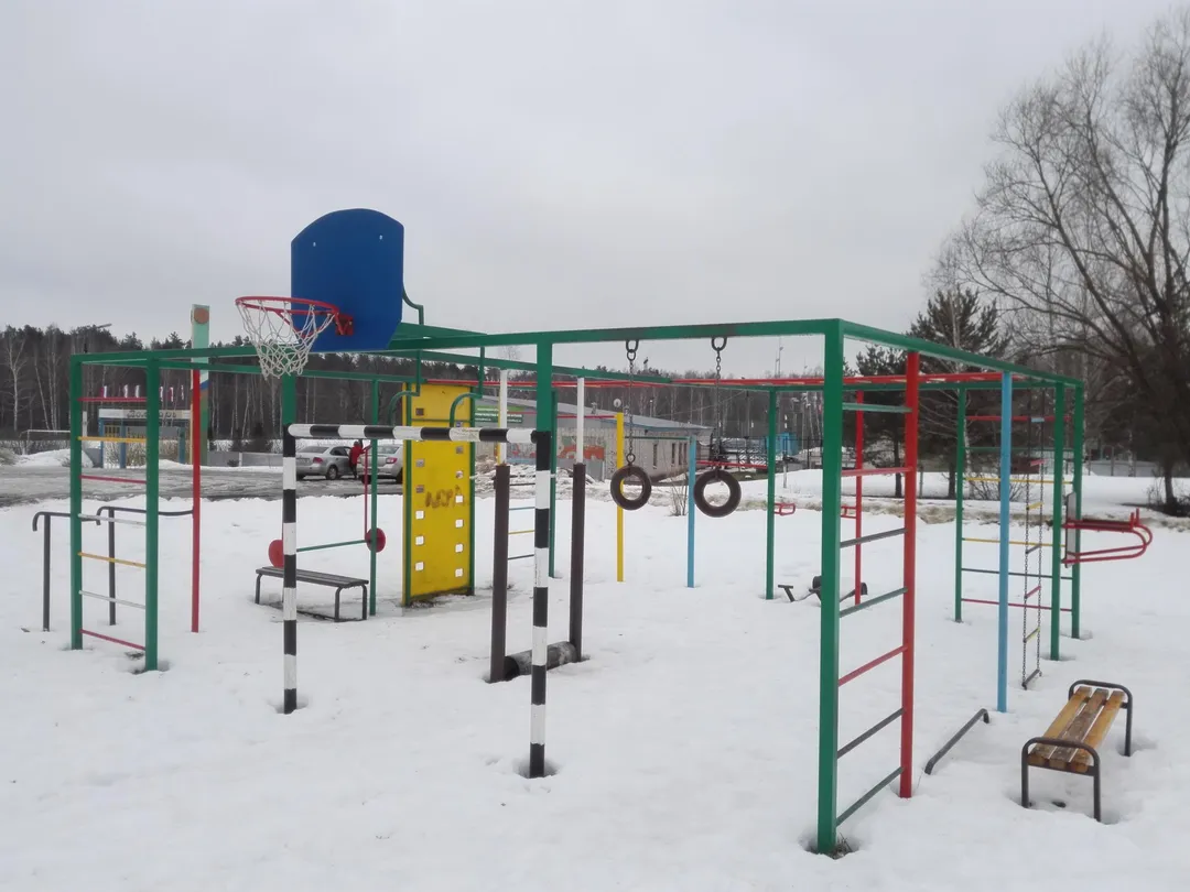 Брусья на площадке Calisthenics Park at Старовская улица, городское поселение Вольгинский – фото 1 из 2