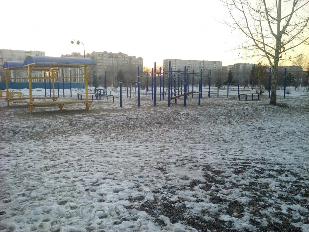 Рукоход на площадке Calisthenics Park at проспект Дружбы Народов, Абакан – фото 3 из 3