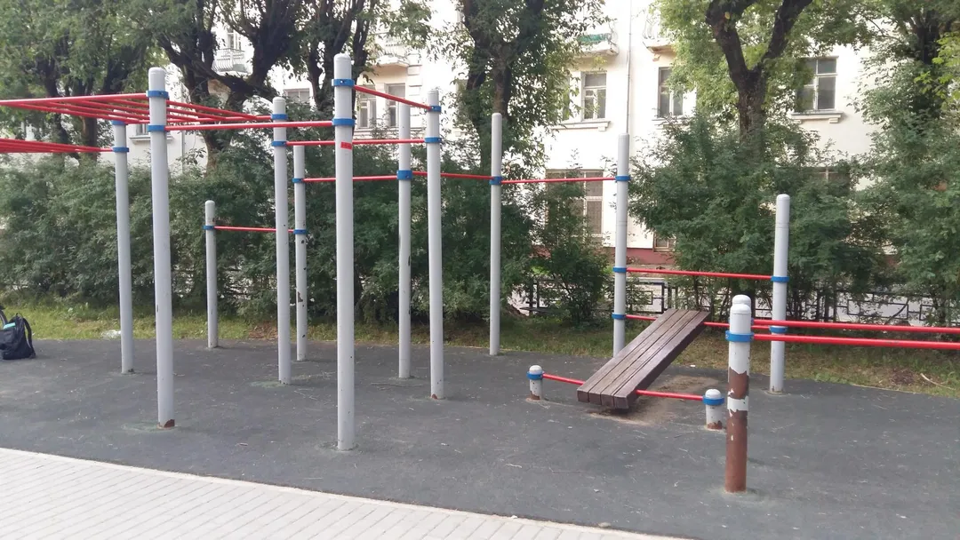 Monkey Bars at Calisthenics Park at Институтская улица, Фрязино – photo 2 of 2