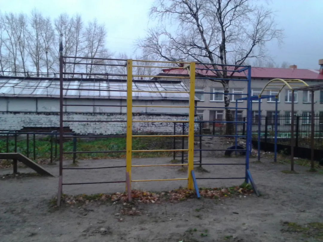 Шведська стінка на майданчику Calisthenics Park at Площадка для параворкаута, Архангельск – фото 2 з 4