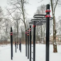 Calisthenics Park at Октябрьская улица, Олонец - thumbnail 5