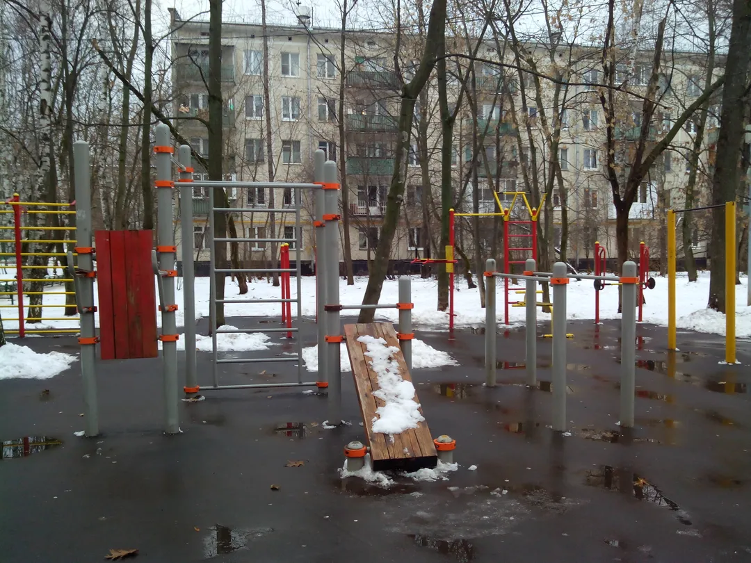 Spalier la Calisthenics Park at Открытое шоссе, Москва – fotografia 2 din 3
