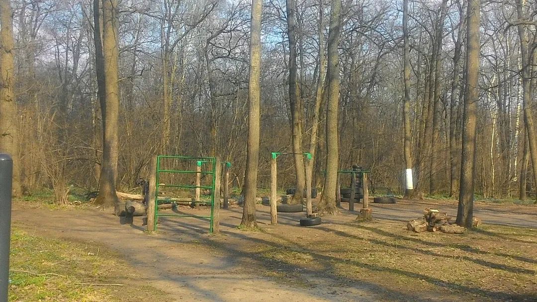 Рукохід на майданчику Calisthenics Park at Северная просека, Воронеж – фото 3 з 3