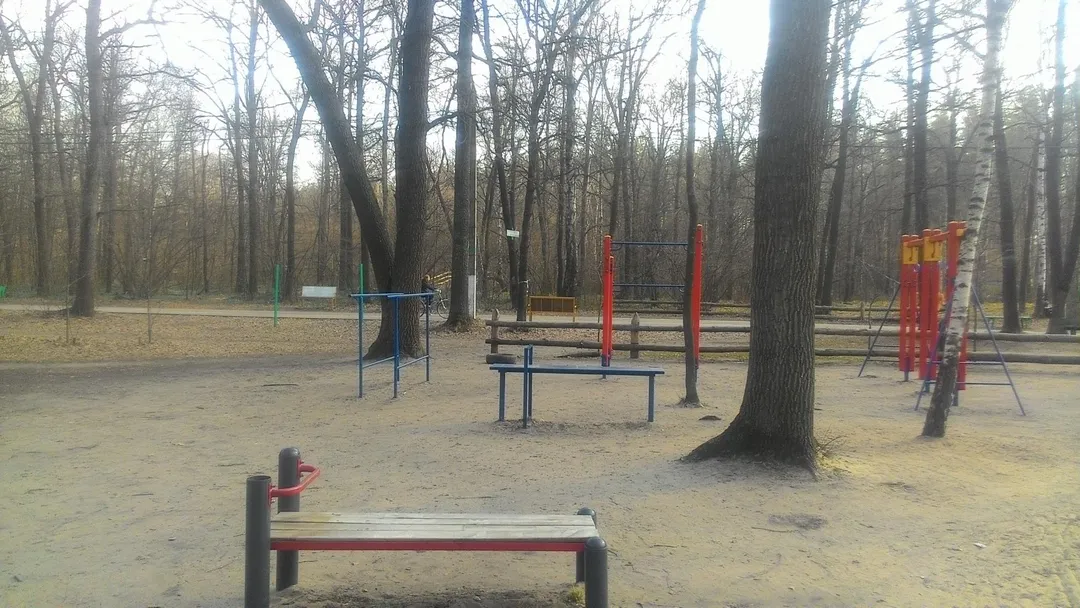Турнік на майданчику Calisthenics Park at Северная просека, Воронеж – фото 1 з 3
