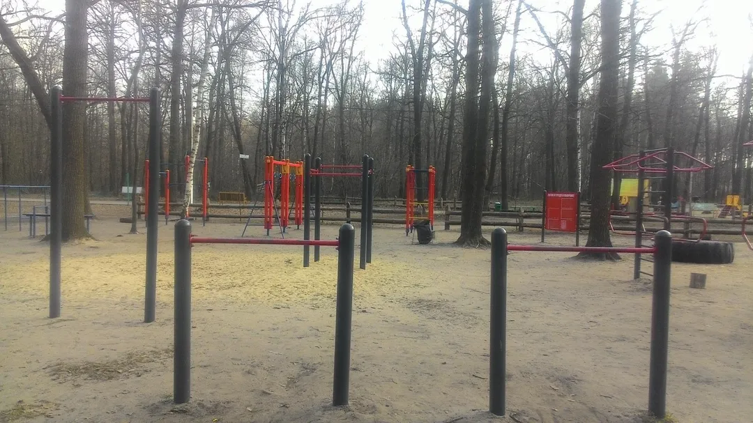 Бруси на майданчику Calisthenics Park at Северная просека, Воронеж – фото 2 з 3
