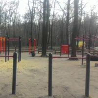 Calisthenics Park at Северная просека, Воронеж - thumbnail 2