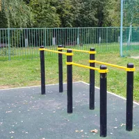 Calisthenics Park at Спортивный проезд, Щёлково - thumbnail 3