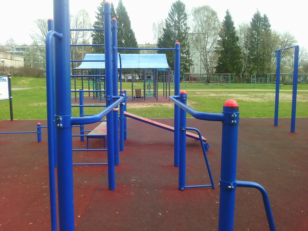 Monkey Bars at Calisthenics Park at MBOU DOD SDYUSSHOR "Yunost", Torzhok – photo 4 of 4