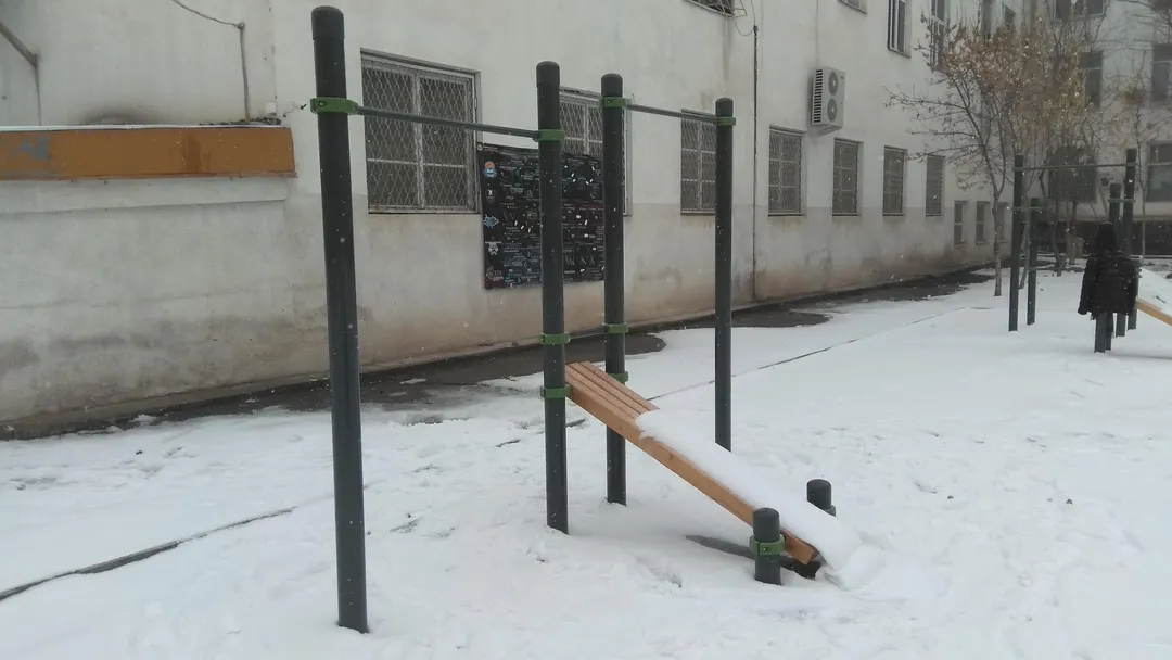Шведська стінка на майданчику Calisthenics Park at Ахунбаева Исы улица, Бишкек шаары – фото 8 з 8