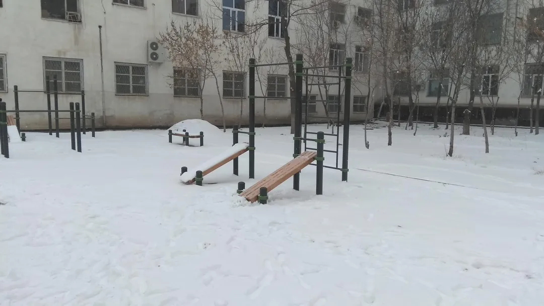 Шведська стінка на майданчику Calisthenics Park at Ахунбаева Исы улица, Бишкек шаары – фото 2 з 8