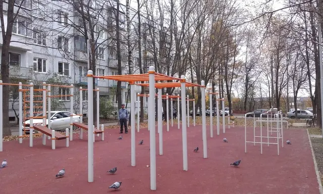 Calisthenics Park at улица Дмитрия Кабалевского, район Троицк