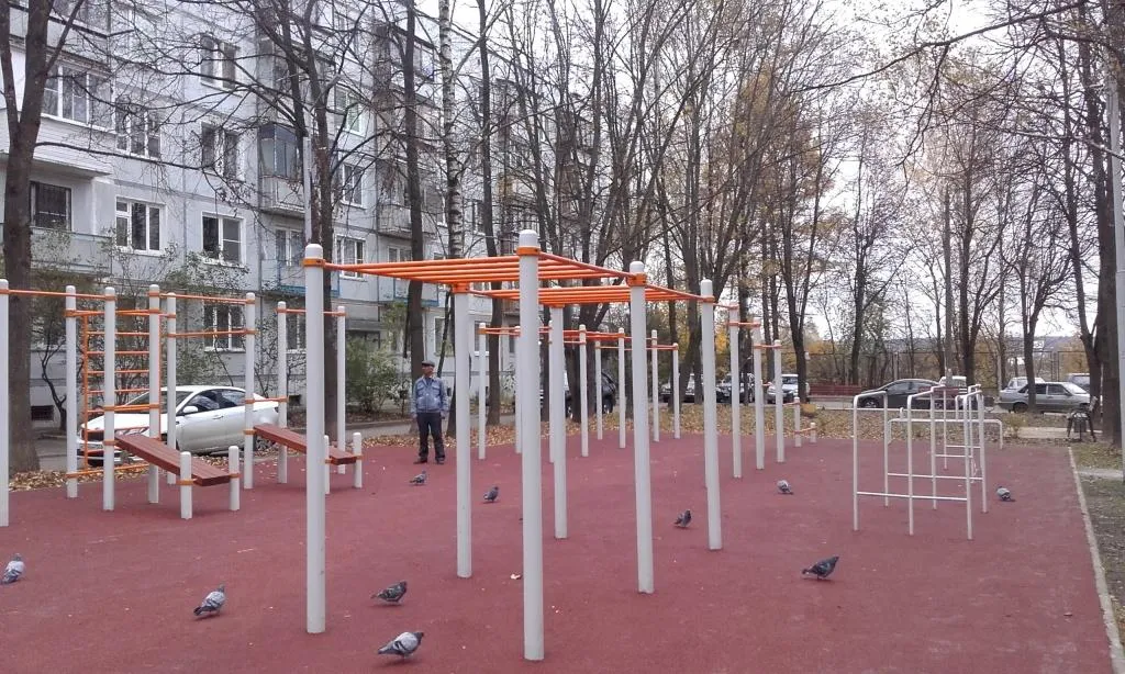 Parallel Gym Bars at Calisthenics Park at улица Дмитрия Кабалевского, район Троицк – photo 1 of 1