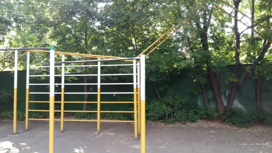 Espalderas en Calisthenics Park at 3-я Песчаная улица, Москва – foto 4 de 7