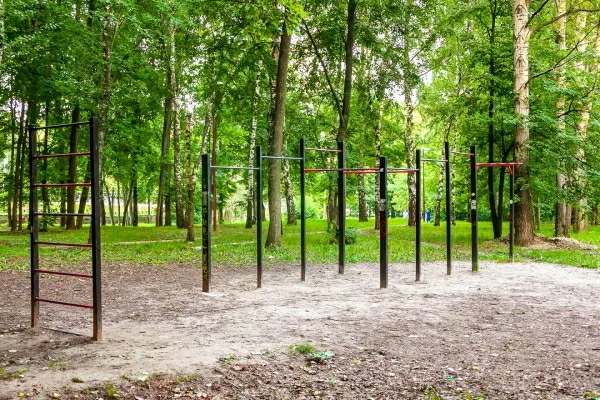 Pull Up Bar at Calisthenics Park at проспект Гагарина, Нижний Новгород – photo 1 of 1