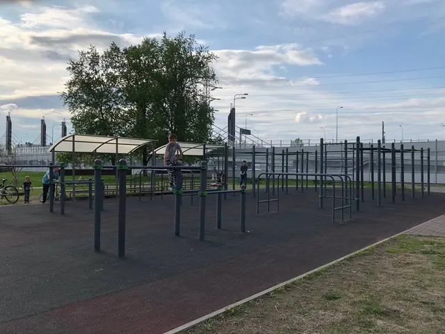 Calisthenics Park at Пулковское шоссе, Санкт-Петербург