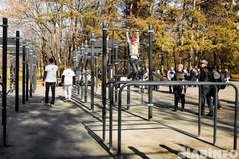 Шведська стінка на майданчику Calisthenics Park at Амурский бульвар, Хабаровск – фото 2 з 3