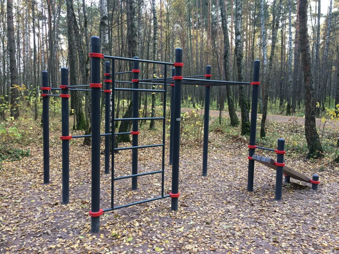 Bancă pentru abdomen la Calisthenics Park at Новомещёрский проезд, Москва – fotografia 1 din 1