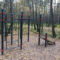 Calisthenics Park at Новомещёрский проезд, Москва - thumbnail 1