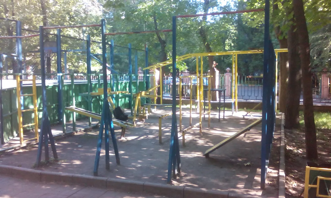 Bare paralele la Calisthenics Park at улица Усиевича, Москва – fotografia 1 din 2