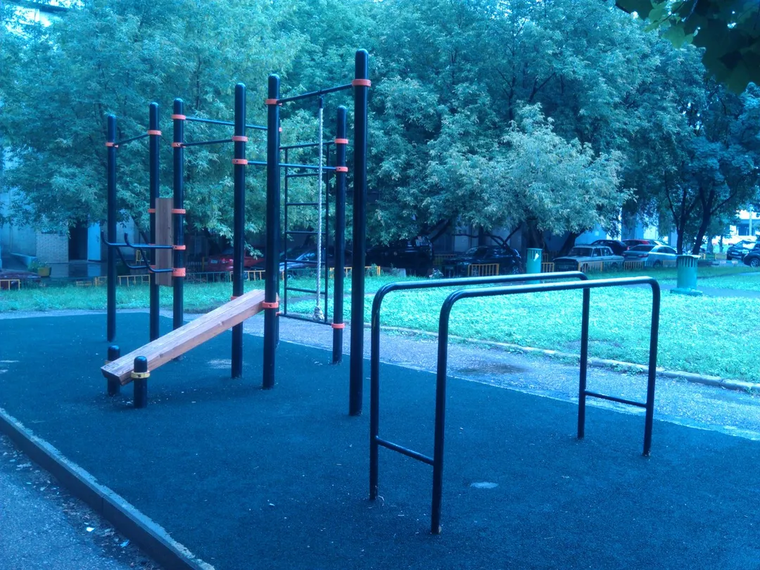Spalier la Calisthenics Park at Большая Тульская улица, Москва – fotografia 2 din 3